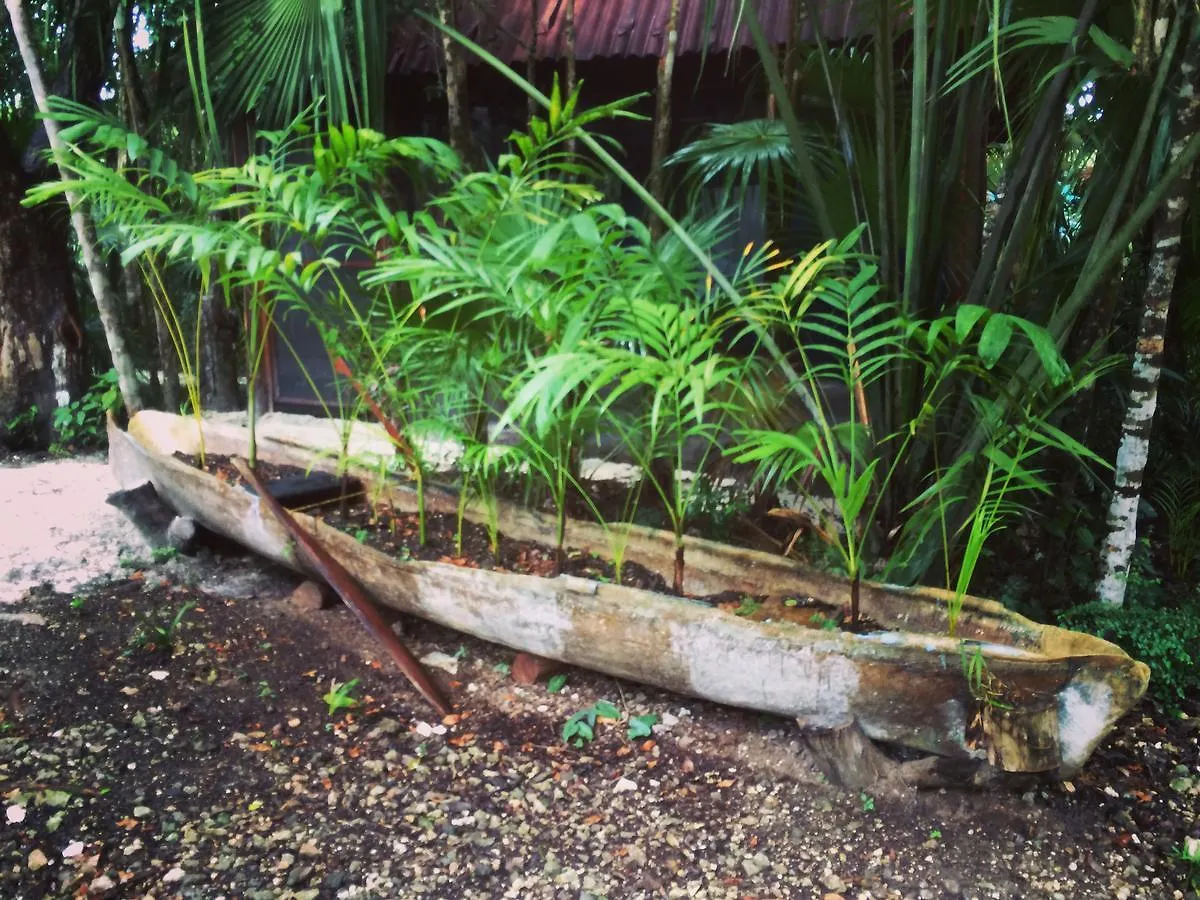 פוארטו מורלוס Chaktunche Rancho Ecolodge פוארטו מורלוס