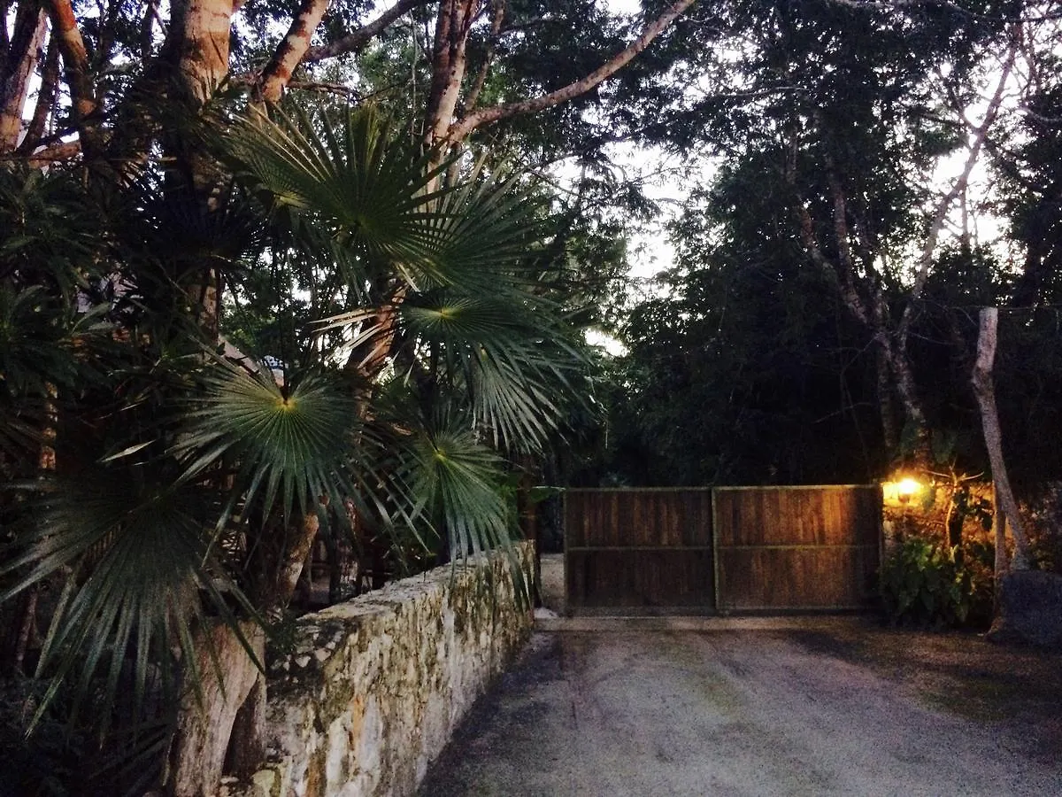 פוארטו מורלוס Chaktunche Rancho Ecolodge לינה וארוחת בוקר