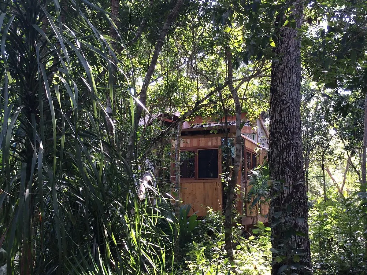 לינה וארוחת בוקר פוארטו מורלוס Chaktunche Rancho Ecolodge