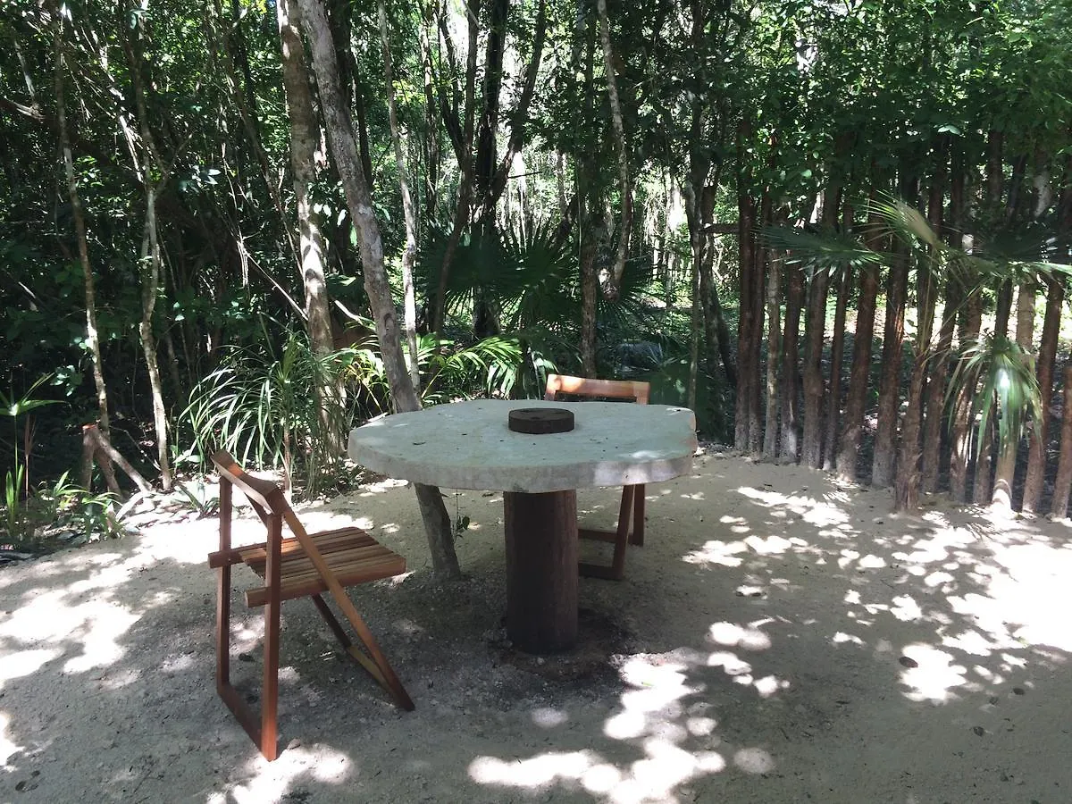 פוארטו מורלוס Chaktunche Rancho Ecolodge לינה וארוחת בוקר