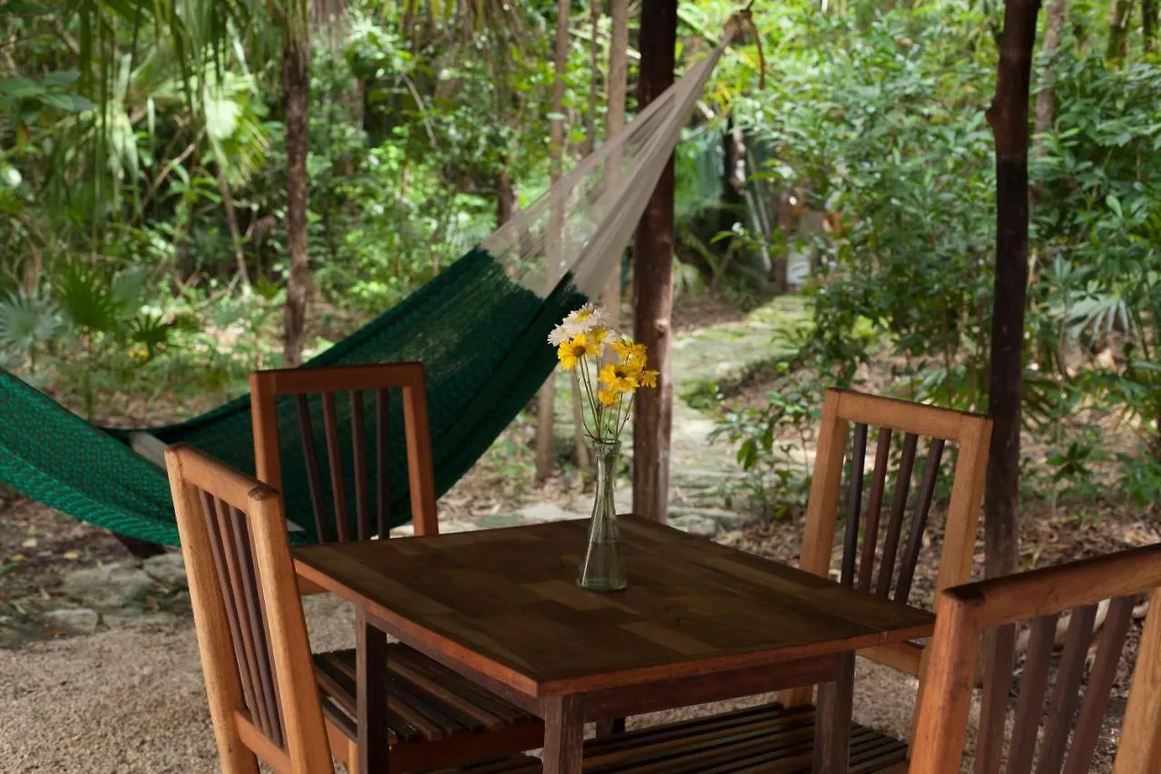 *** לינה וארוחת בוקר פוארטו מורלוס Chaktunche Rancho Ecolodge מקסיקו