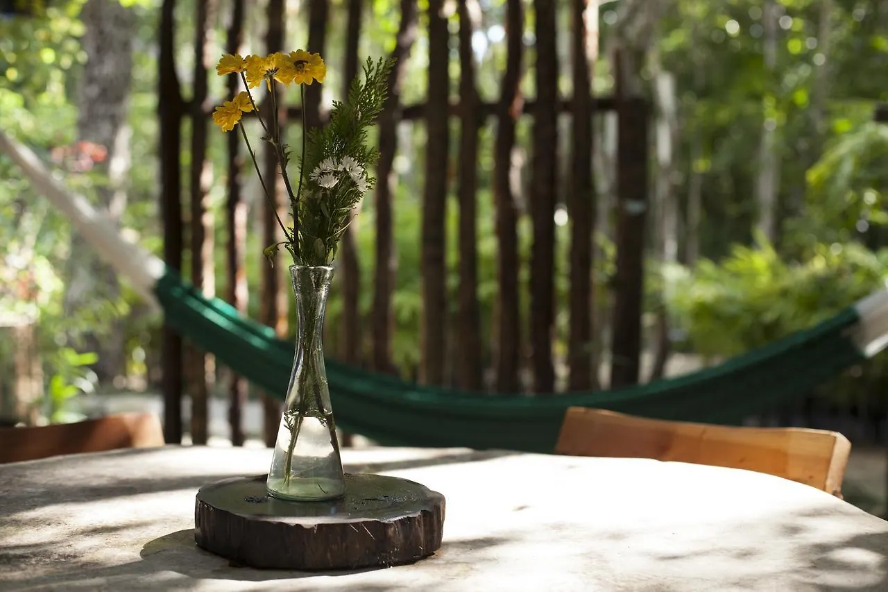 לינה וארוחת בוקר פוארטו מורלוס Chaktunche Rancho Ecolodge