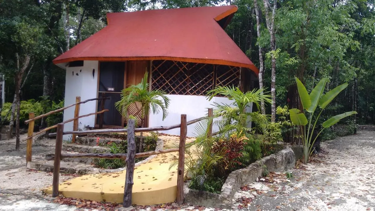 פוארטו מורלוס Chaktunche Rancho Ecolodge 3*, פוארטו מורלוס מקסיקו