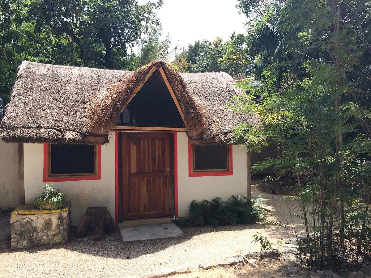 Couette-café Chaktunche Rancho Ecolodge Puerto Morelos